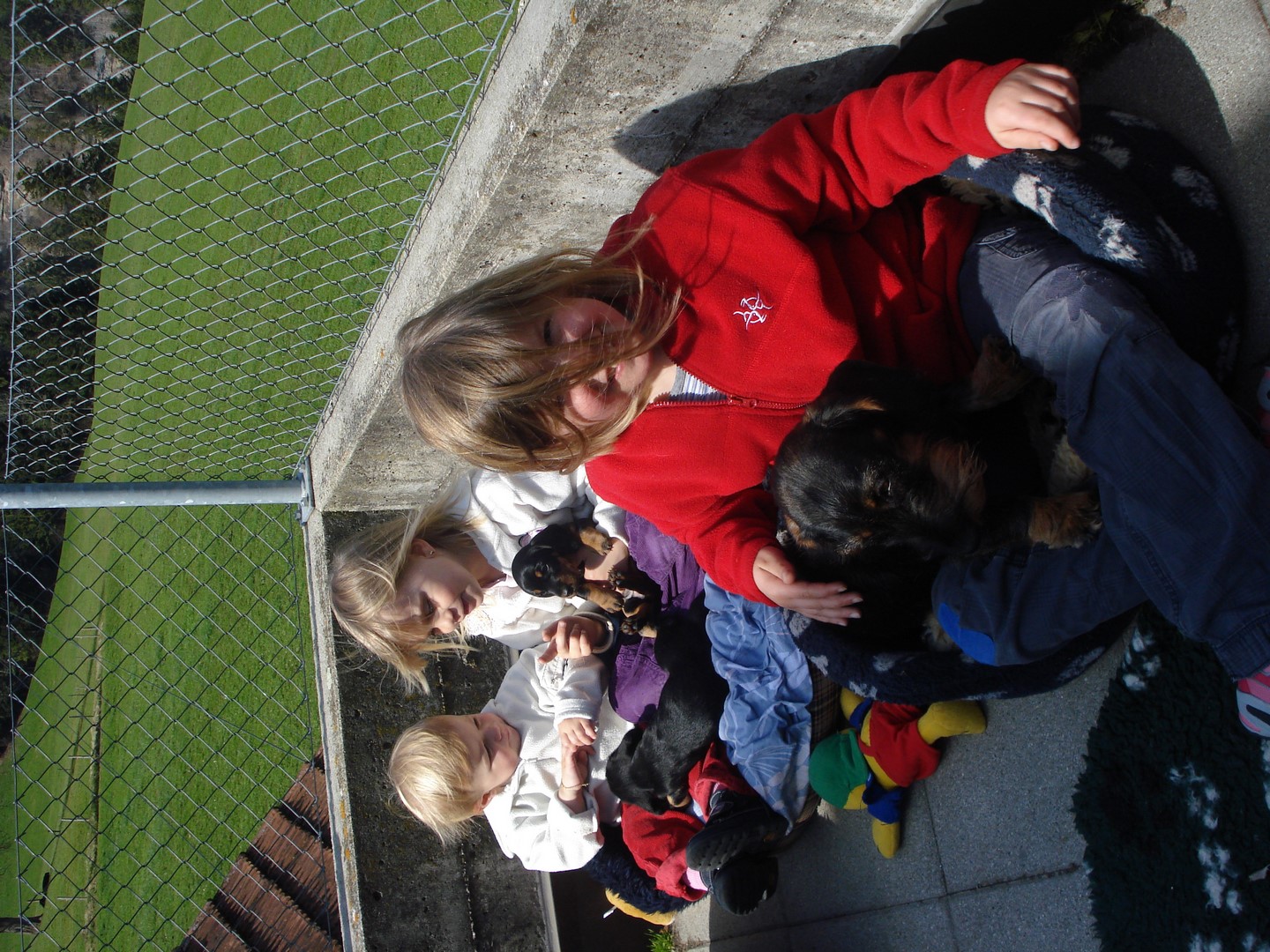 U Wurf  5 Wo Besuch von Cornelia Mutti und co 023 (Kopie)