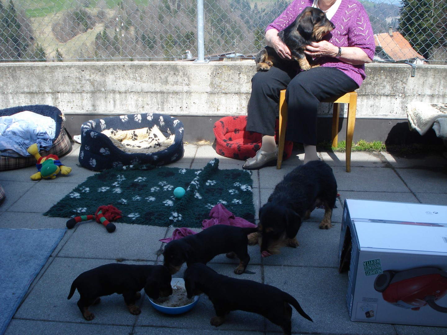 U Wurf  5 Wo Besuch von Cornelia Mutti und co 014 (Kopie)